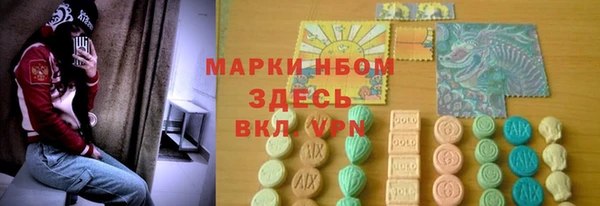 ПСИЛОЦИБИНОВЫЕ ГРИБЫ Каменка