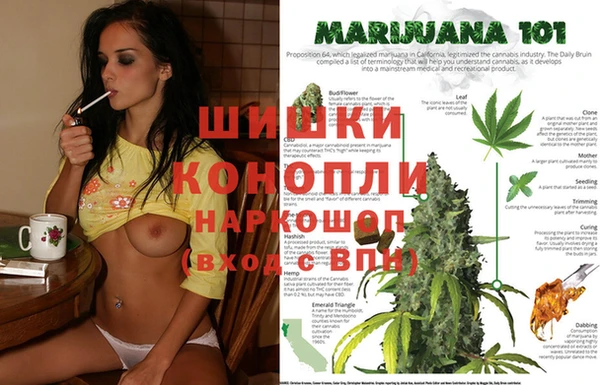 ПСИЛОЦИБИНОВЫЕ ГРИБЫ Каменка