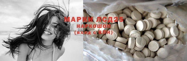 ПСИЛОЦИБИНОВЫЕ ГРИБЫ Каменка
