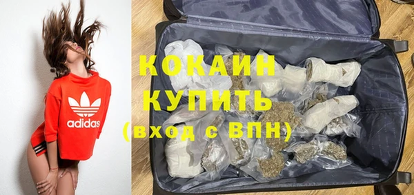 ПСИЛОЦИБИНОВЫЕ ГРИБЫ Каменка