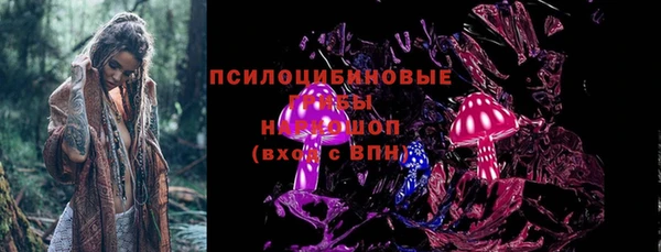 ПСИЛОЦИБИНОВЫЕ ГРИБЫ Каменка