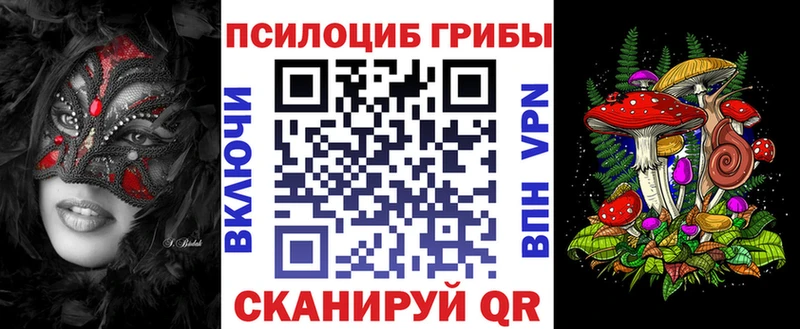 Купить где  Жиздра  Псилоцибиновые грибы мицелий 